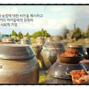 제주물마루된장학교영농조합법인 네이버블로그