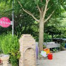 대바우가든 이미지