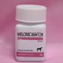 노바동물약국 이미지