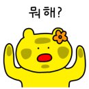 보리헤어 이미지