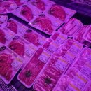 용이네 농장 이미지