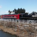 정동진놀자 이미지