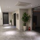 호텔 퀸 이미지