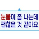 옥돌포레스트 네이버블로그
