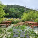 송정강변로 이미지