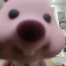 새터 이미지
