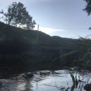 용바우식당 이미지