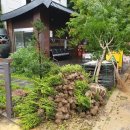 종합관광안내소 이미지