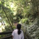산방산광수네 | 제주도 여름 한 달 살이 2️⃣