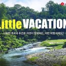 리틀베케이션