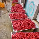 옥전농장 이미지