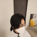 모모란