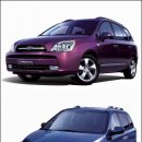 미운오리 이미지