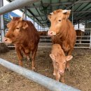 제천농장 이미지