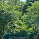 캠핑스마일 이미지