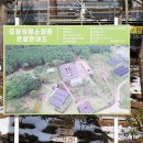 토종흑염소 이미지