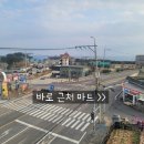 비비다아리 이미지