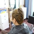 천연머리염색 세이프존 이미지