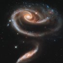 장미의거리4 이미지