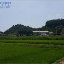 통정1리 이미지