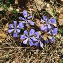 산수곡마을회관 이미지