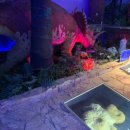 공굴러 가유 | 대학로 아이랑 가볼만한곳 종로 아이랑 갈만한 곳 국립 어린이 과학관 후기