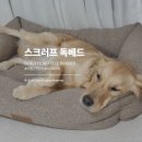 싼타세탁 | 대형견 방석 후기, 스크러프 시애틀라인, 코지테일즈, 강아지방석, 대형견방석, SCRUFFS