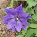 반가반가 이미지