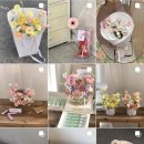 로지마이포지