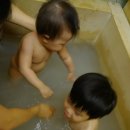 아라리미인탕 네이버블로그