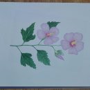 색연필드로잉 이미지