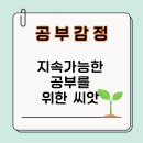 자기주도학습을 위해 가꾸어야할 마음밭, 공부정서(3) | 공부의 씨앗, 우리 아이 공부 감정 챙기고 계시나요?