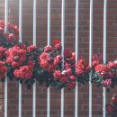 두현정비 이미지