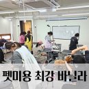 영산로 284 이미지