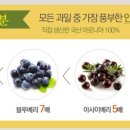 웰빙건강식품