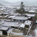 눈봄