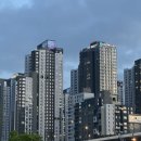베일리