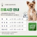 금왕동물병원 이미지