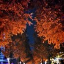 정관 어린이도서관(윗골공원) 이미지