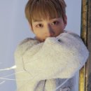 용승 Daum카페