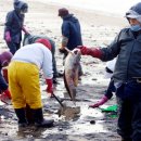 만리포해변 이미지