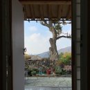 너머마을민박 이미지