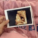은하커피호프 | 👶🏻 임신 26~30주차 | 먹고 자고 누워있는게 미션인 나날들