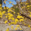 가북면사무소 이미지