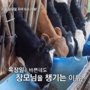 할매축사 네이버블로그