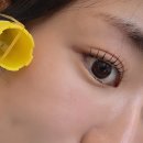 뽀아이뷰티 | 옥정 속눈썹펌, 뽀아이에서 받고 가닥속눈썹 완성된 후기