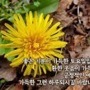토요일 이미지
