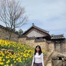 CU [예산신례원사람들점] | 예산 가볼 만한 곳 추천 [추사 고택 수선화]🌼