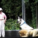 (공연) 연극 <ART>1 이미지