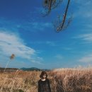 래비드스튜디오 이미지